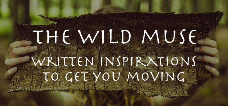 cropped-the-wild-muse-words-web-res-copy.jpg