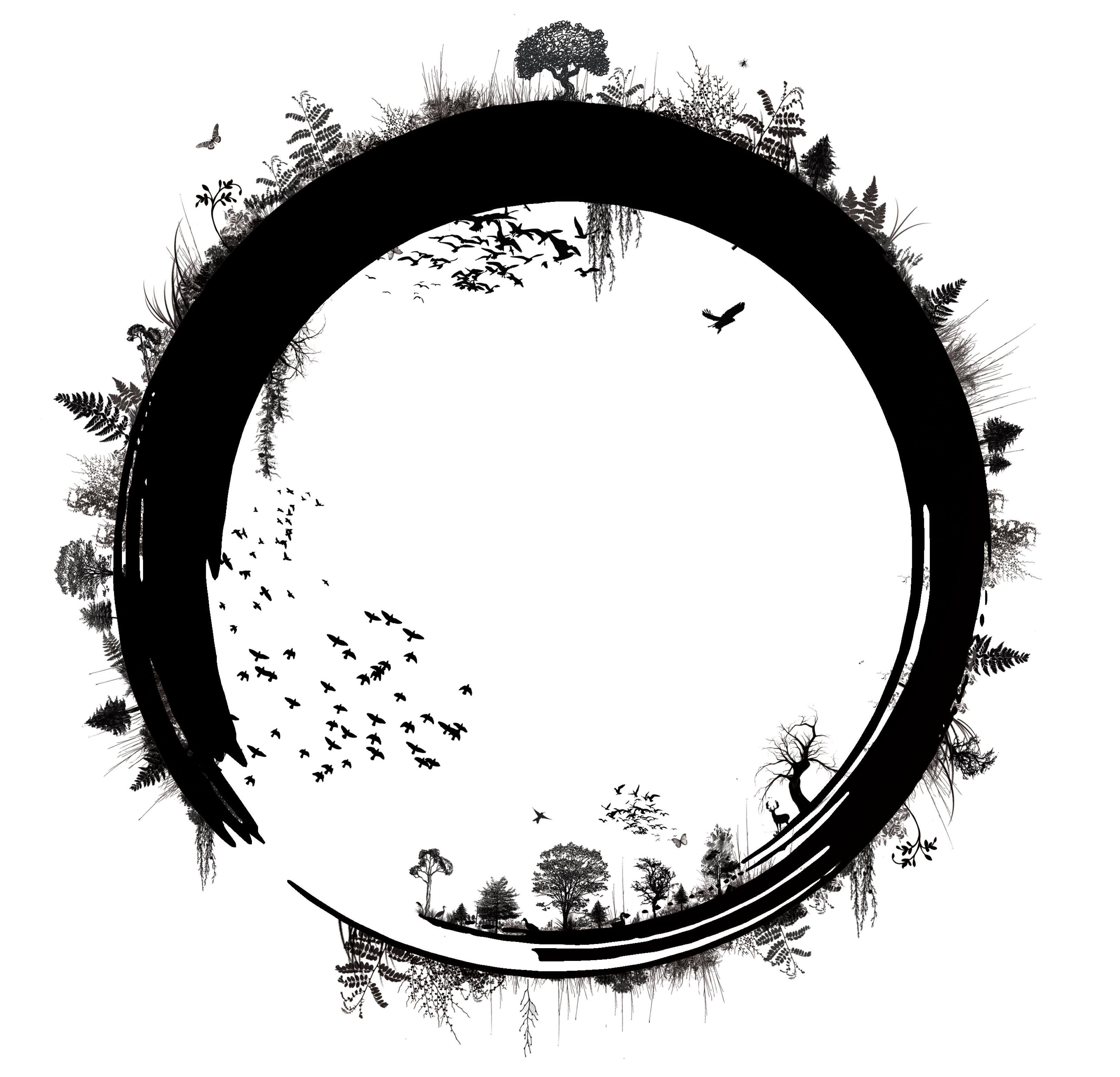 Wisdom Wildness Wonder